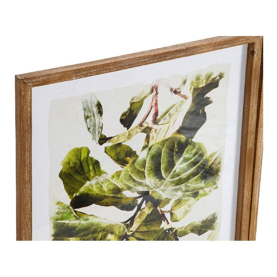 Bild DKD Home Decor Plants Pflanzenblatt (50 x 2,5 x 70 cm) (2 Stück)