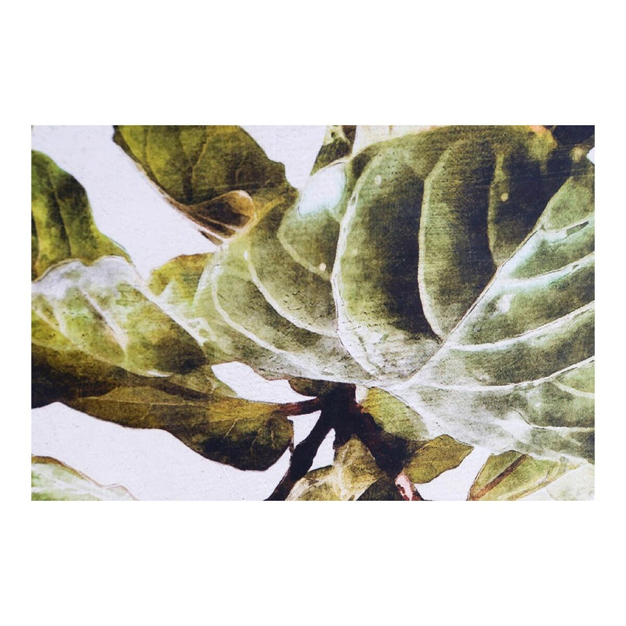 Bild DKD Home Decor Plants Pflanzenblatt (50 x 2,5 x 70 cm) (2 Stück)