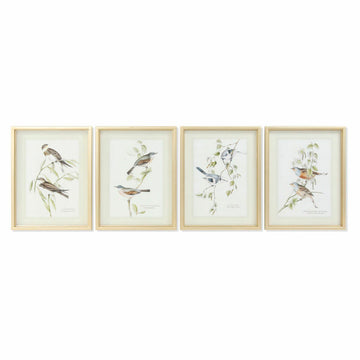 Bild DKD Home Decor Traditionell Vögel (35 x 2,5 x 45 cm) (4 Stück)