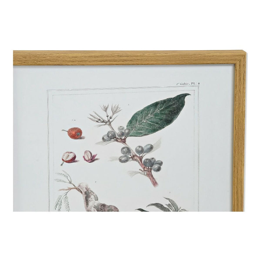 Bild DKD Home Decor S3013715 Leinwand Blomster (43 x 3 x 53 cm) (4 Stück)