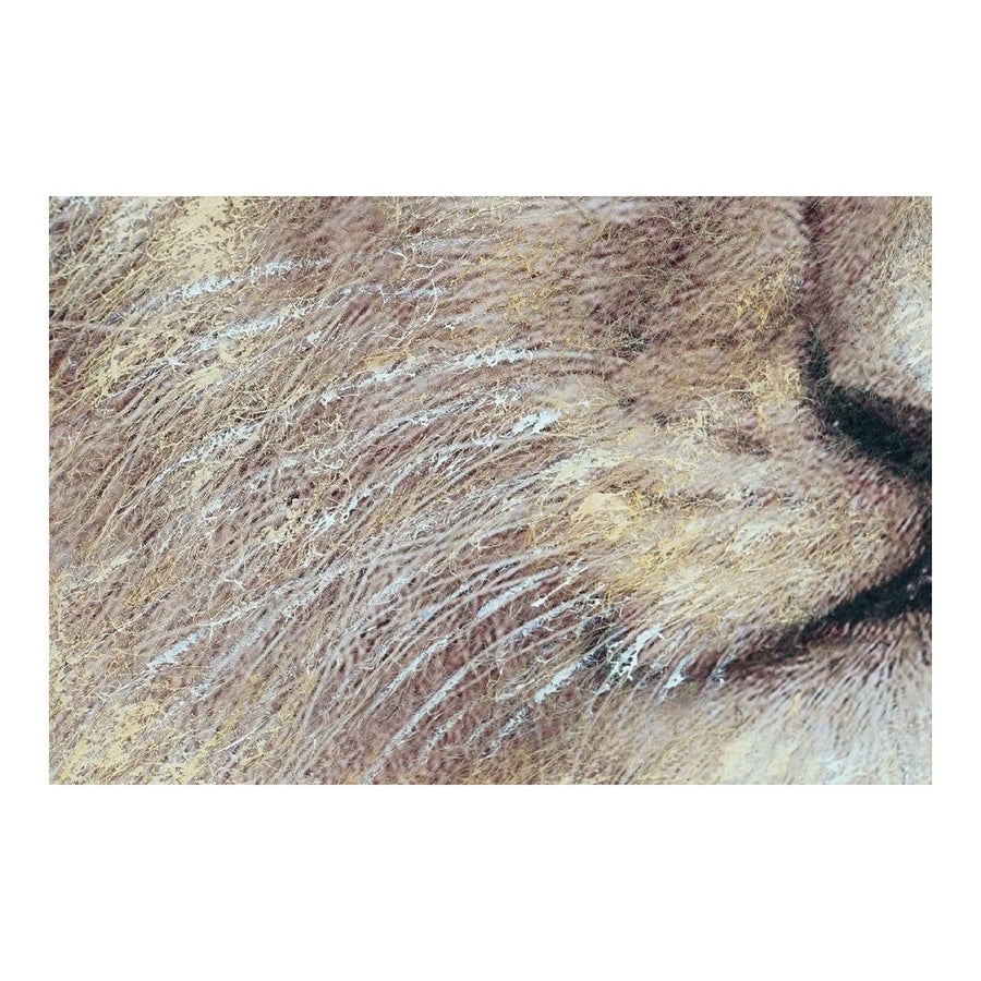 Bild DKD Home Decor S3013728 Leinwand Löwe Kolonial (100 x 3 x 100 cm) (2 Stück)