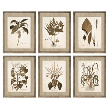 Bild DKD Home Decor Blomster Moderne (55 x 2,5 x 70 cm) (6 Stück)