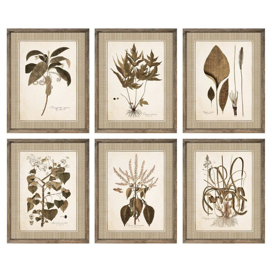 Bild DKD Home Decor Blomster Moderne (55 x 2,5 x 70 cm) (6 Stück)