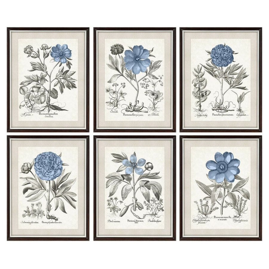 Bild DKD Home Decor Blomster Moderne (6 Stück) (50 x 2 x 65 cm)