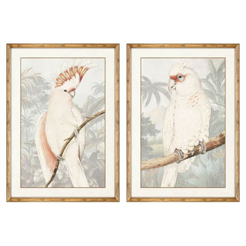Bild DKD Home Decor Papagei Tropical (2 Stück) (50 x 3 x 70 cm)