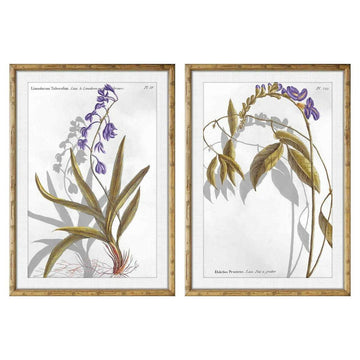 Bild DKD Home Decor Blomster Moderne (50 x 2 x 70 cm) (2 Stück)