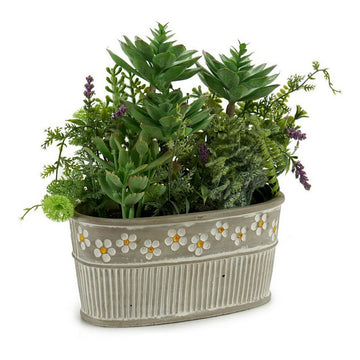 Dekorationspflanze ‎S3601499 Grau grün (16 x 28 x 26 cm)