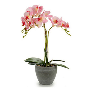 Deko-Blumen 8430852552570 Kunststoff Blumentopf (25 x 50 x 36 cm)