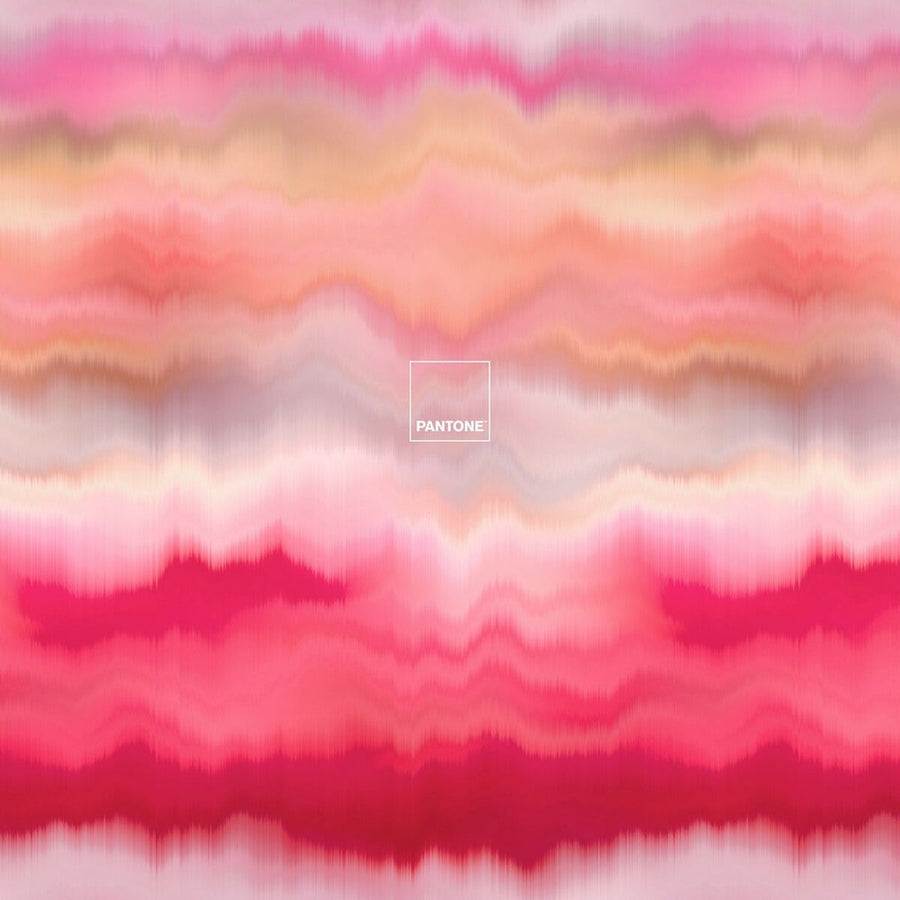Bettdeckenbezug Pantone Totem Nuances Double size (220 x 220 cm)