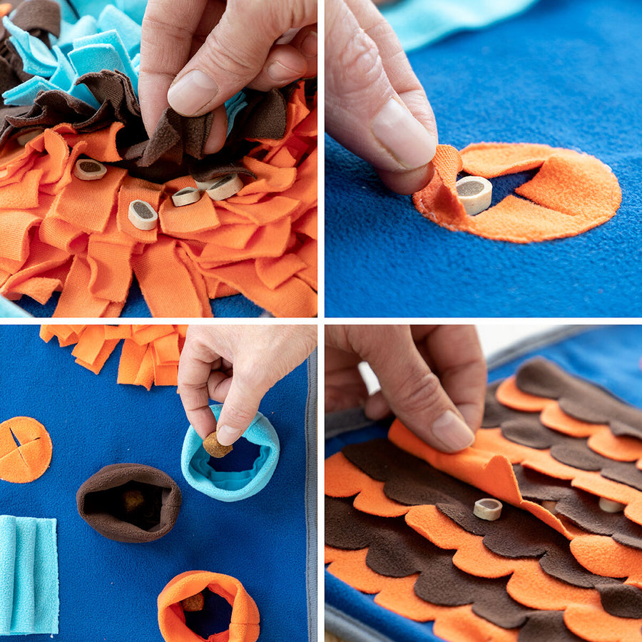 Spielmatte mit Belohnungen für Haustiere Foofield InnovaGoods